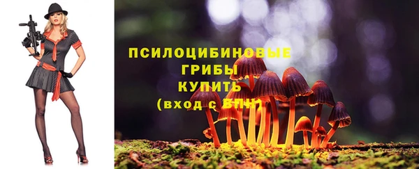 стафф Богородицк