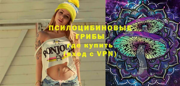 spice Богданович