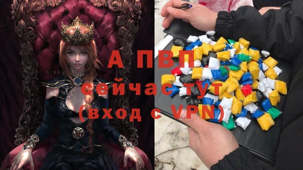 винт Бородино