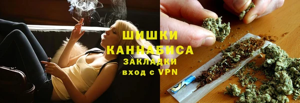 винт Бородино
