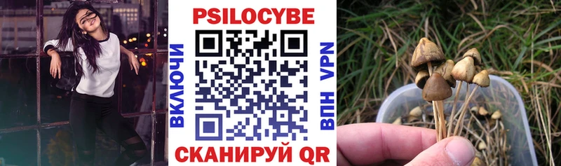 наркошоп  Пятигорск  Галлюциногенные грибы Cubensis 